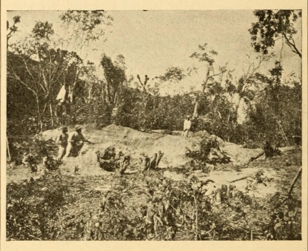 An illustration from Archeology of the Virgin islands, 1919, leaf 32