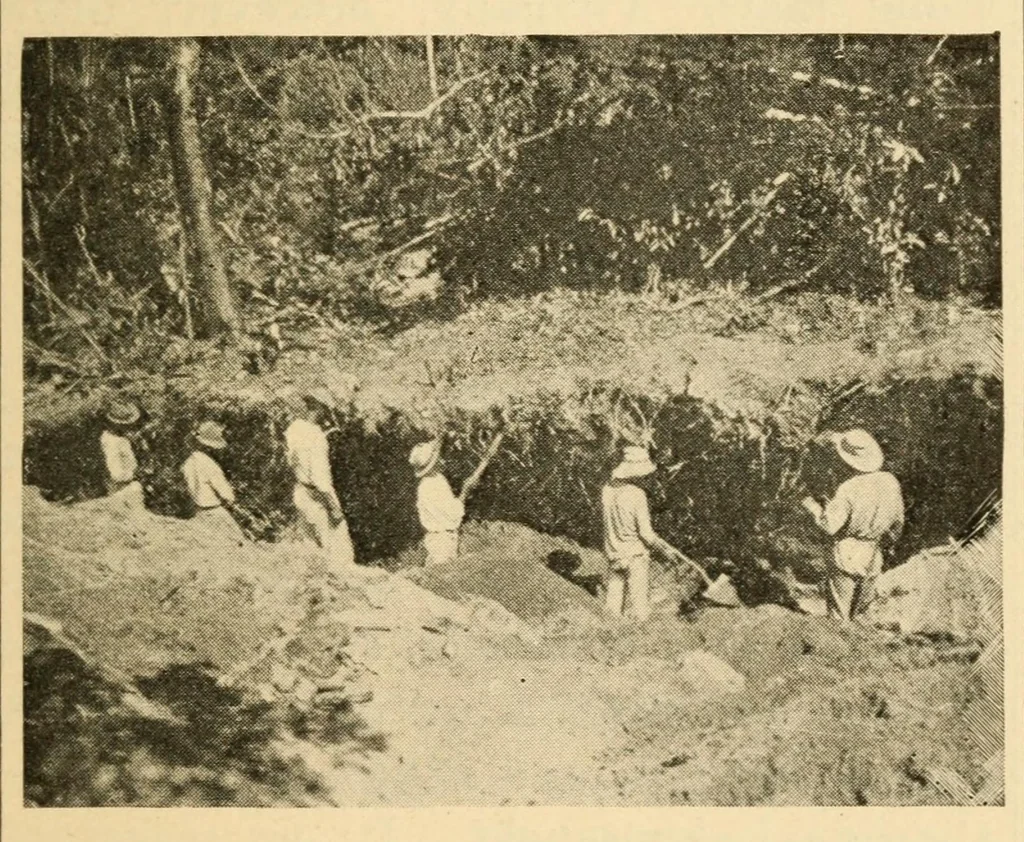 An illustration from Archeology of the Virgin islands, 1919, leaf 37