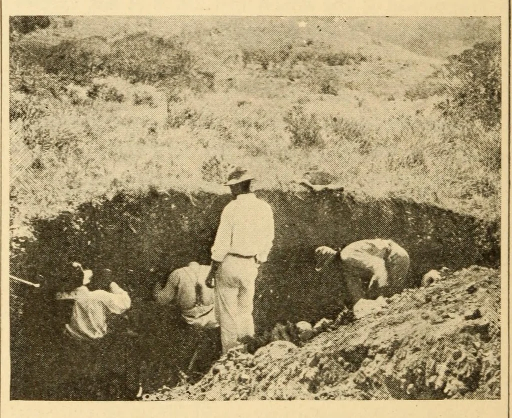 An illustration from Archeology of the Virgin islands, 1919, leaf 56