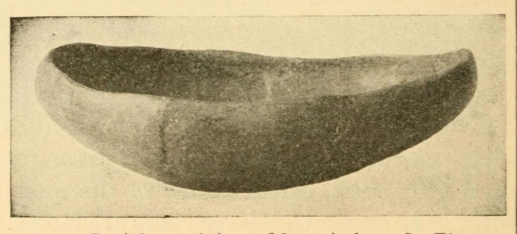 An illustration from Archeology of the Virgin islands, 1919, leaf 72