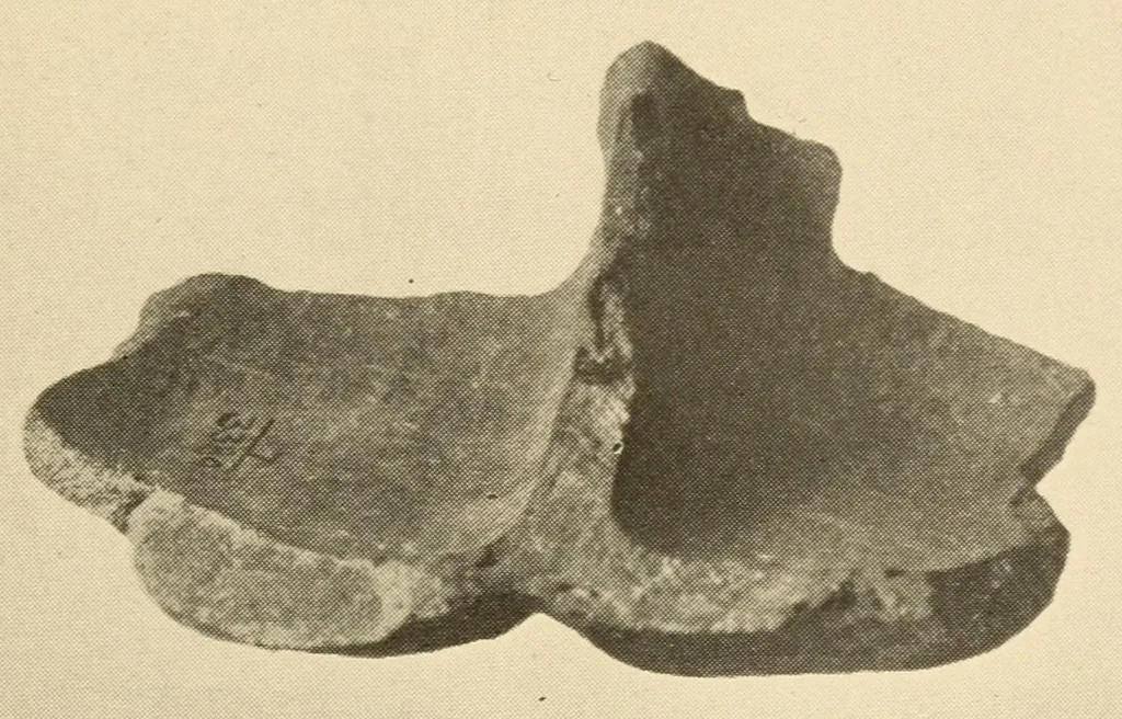 An illustration from Archeology of the Virgin islands, 1919, leaf 89