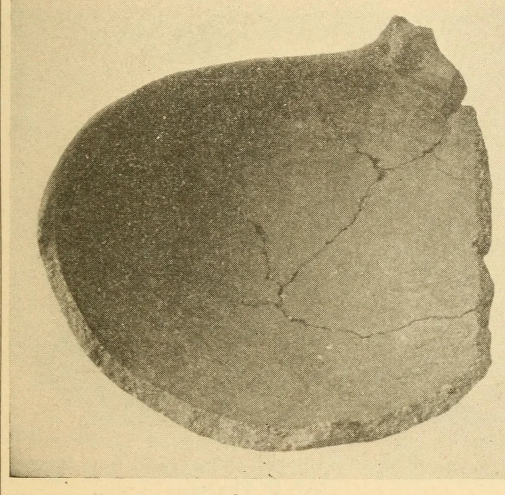 An illustration from Archeology of the Virgin islands, 1919, leaf 99