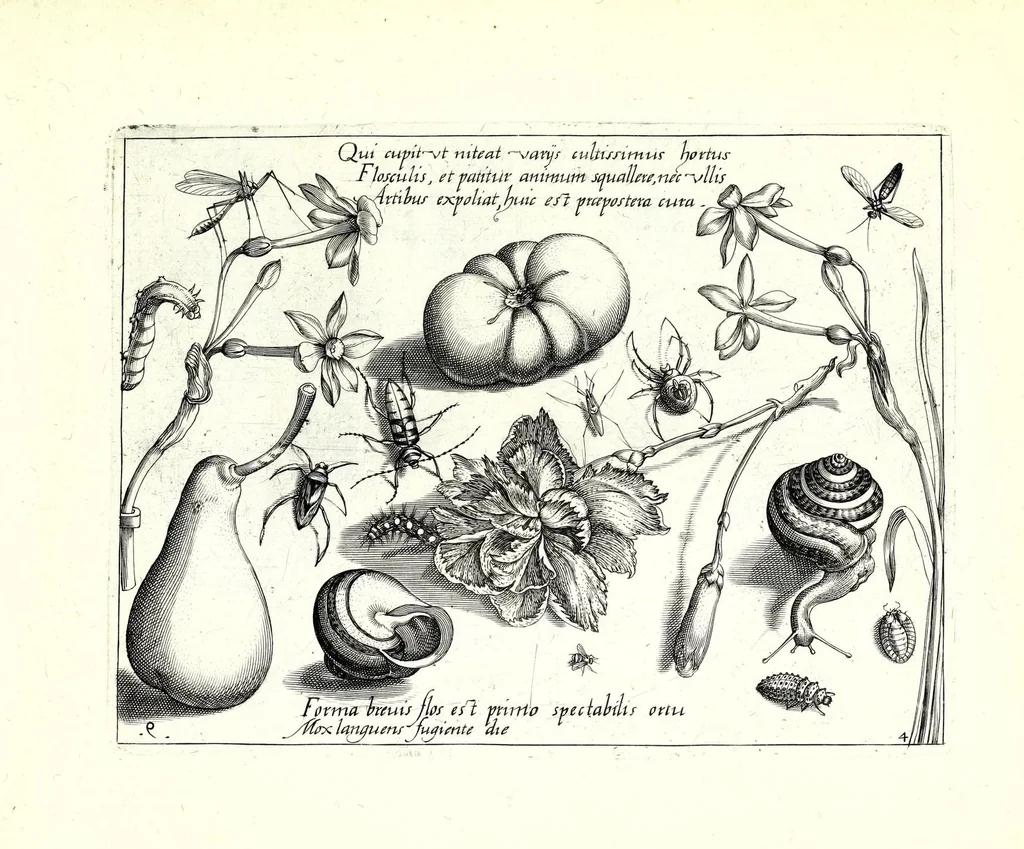An illustration from Archetypa stvdiaqve patris GeorgiI HoefnageliI, 1592, leaf 101