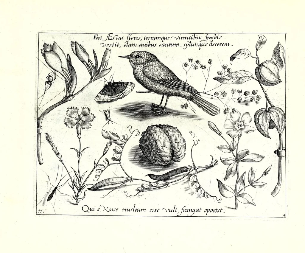 An illustration from Archetypa stvdiaqve patris GeorgiI HoefnageliI, 1592, leaf 105
