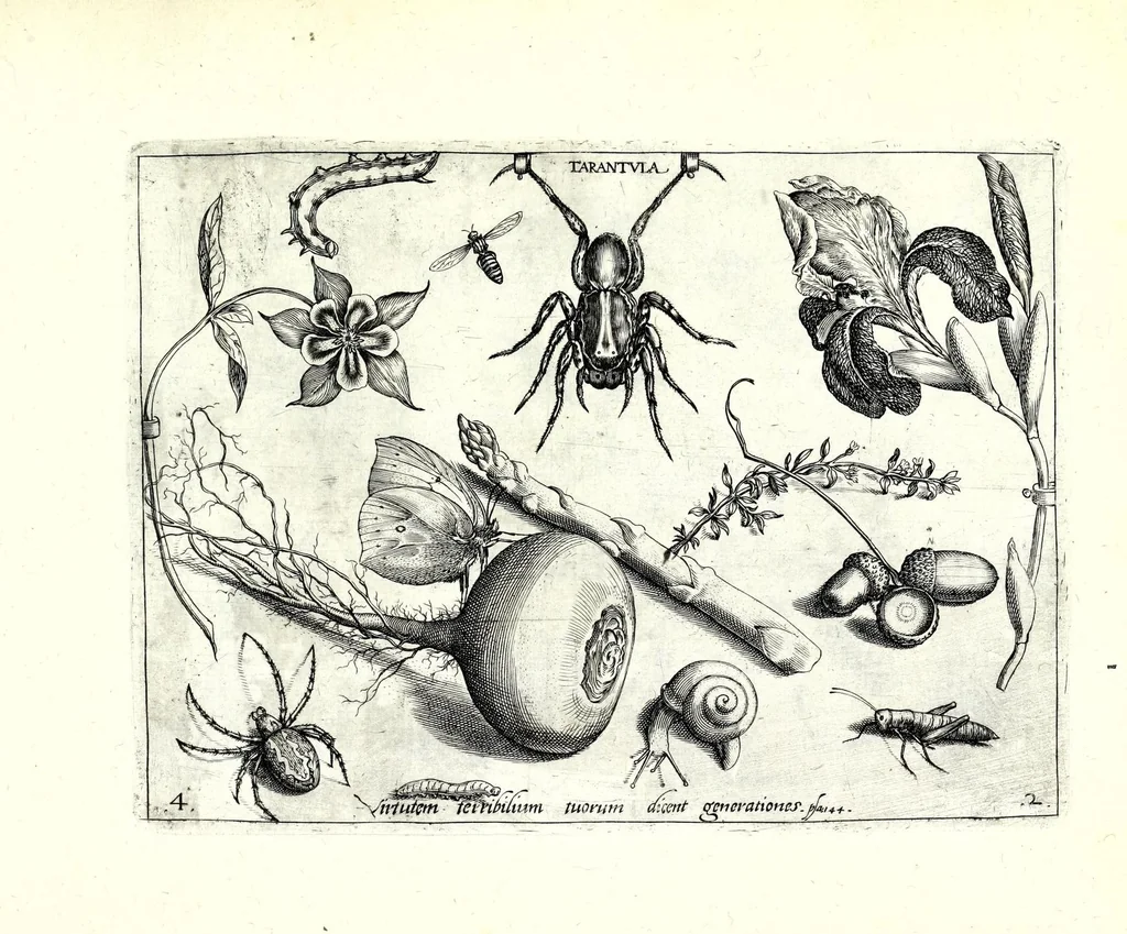 An illustration from Archetypa stvdiaqve patris GeorgiI HoefnageliI, 1592, leaf 39