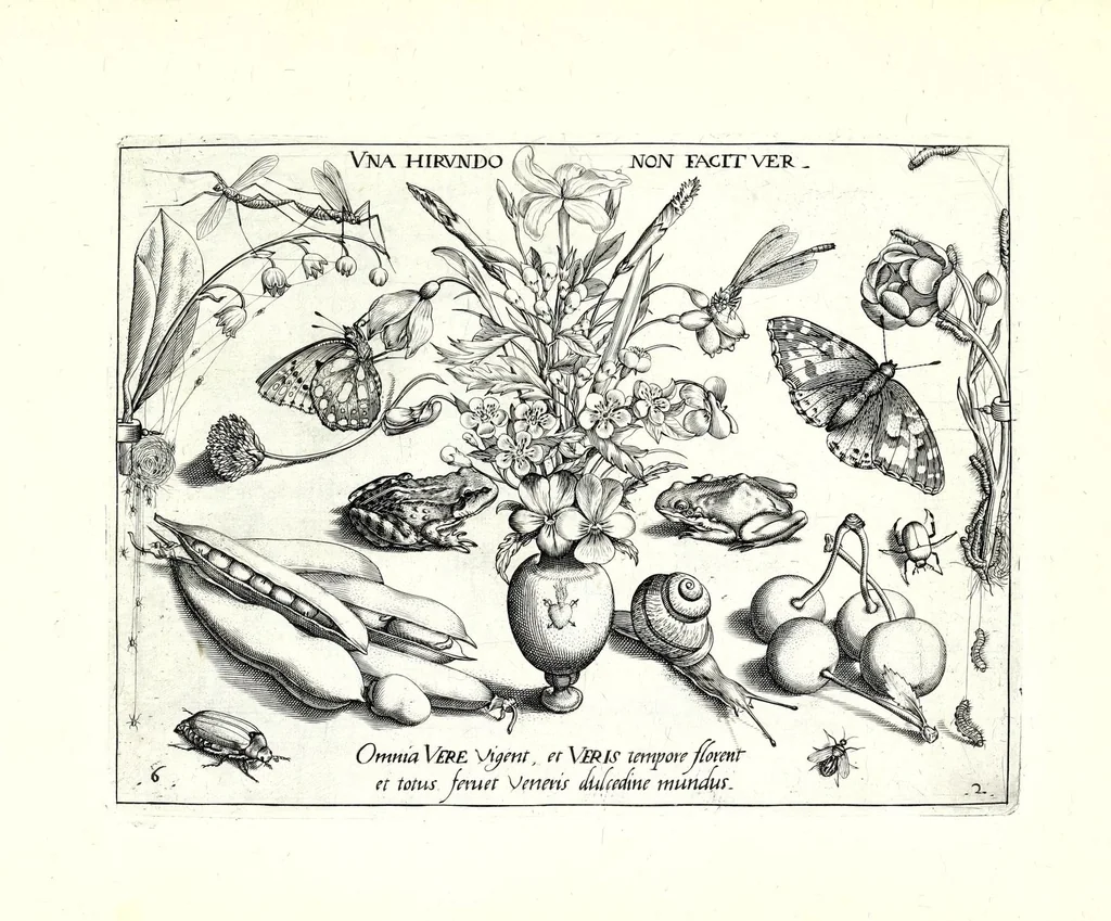 An illustration from Archetypa stvdiaqve patris GeorgiI HoefnageliI, 1592, leaf 43