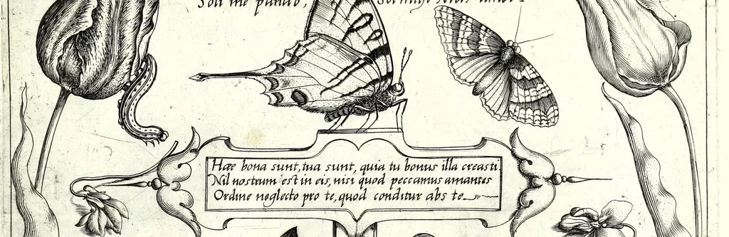 An illustration from Archetypa stvdiaqve patris GeorgiI HoefnageliI, 1592, leaf 81