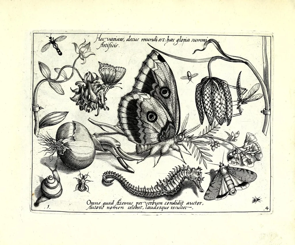 An illustration from Archetypa stvdiaqve patris GeorgiI HoefnageliI, 1592, leaf 85