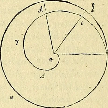 An illustration from Archimedes ta mechri nyn sozomena hapanta. Archimedis Syracusani philosophi ac geometrae excellentissimi opera, quae quidem extant, omnia, multis iam seculis desiderata, atque a quam paucissimis hactenus visa, nuncque primum et Graece et Latine in lucem edita ... Adiecta quoq; sunt Eutocii Ascalonitae in eosdem Archimedis libros commentaria, item Graece et Latine, nunquam antea excusa, 1544, leaf 101