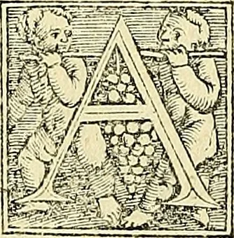 An illustration from Archimedes ta mechri nyn sozomena hapanta. Archimedis Syracusani philosophi ac geometrae excellentissimi opera, quae quidem extant, omnia, multis iam seculis desiderata, atque a quam paucissimis hactenus visa, nuncque primum et Graece et Latine in lucem edita ... Adiecta quoq; sunt Eutocii Ascalonitae in eosdem Archimedis libros commentaria, item Graece et Latine, nunquam antea excusa, 1544, leaf 115