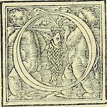 An illustration from Archimedes ta mechri nyn sozomena hapanta. Archimedis Syracusani philosophi ac geometrae excellentissimi opera, quae quidem extant, omnia, multis iam seculis desiderata, atque a quam paucissimis hactenus visa, nuncque primum et Graece et Latine in lucem edita ... Adiecta quoq; sunt Eutocii Ascalonitae in eosdem Archimedis libros commentaria, item Graece et Latine, nunquam antea excusa, 1544, leaf 131