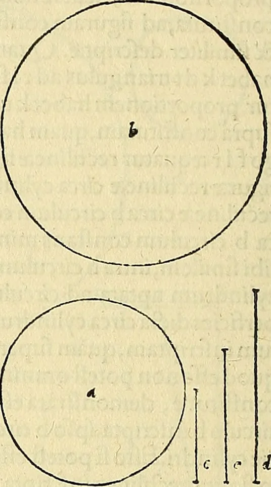 An illustration from Archimedes ta mechri nyn sozomena hapanta. Archimedis Syracusani philosophi ac geometrae excellentissimi opera, quae quidem extant, omnia, multis iam seculis desiderata, atque a quam paucissimis hactenus visa, nuncque primum et Graece et Latine in lucem edita ... Adiecta quoq; sunt Eutocii Ascalonitae in eosdem Archimedis libros commentaria, item Graece et Latine, nunquam antea excusa, 1544, leaf 175