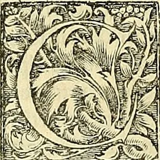 An illustration from Archimedes ta mechri nyn sozomena hapanta. Archimedis Syracusani philosophi ac geometrae excellentissimi opera, quae quidem extant, omnia, multis iam seculis desiderata, atque a quam paucissimis hactenus visa, nuncque primum et Graece et Latine in lucem edita ... Adiecta quoq; sunt Eutocii Ascalonitae in eosdem Archimedis libros commentaria, item Graece et Latine, nunquam antea excusa, 1544, leaf 455