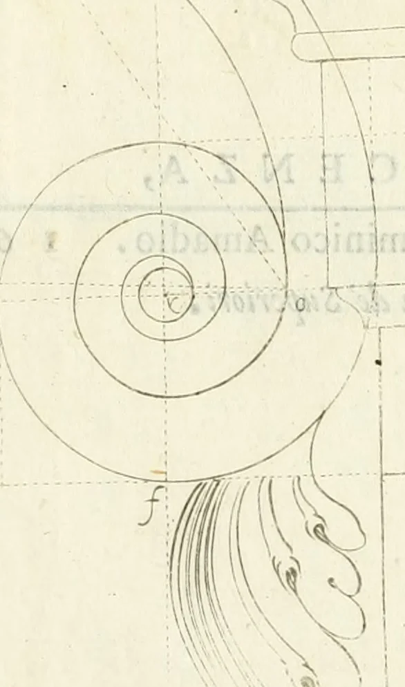 An illustration from Archisesto per formar con facilità li cinque ordini d'architettura : con altri particolari intorno la medesima professione, 1627, leaf 110