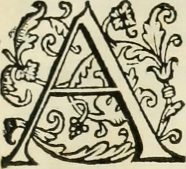 An illustration from Archisesto per formar con facilità li cinque ordini d'architettura : con altri particolari intorno la medesima professione, 1627, leaf 13
