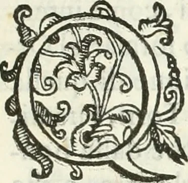 An illustration from Archisesto per formar con facilità li cinque ordini d'architettura : con altri particolari intorno la medesima professione, 1627, leaf 8