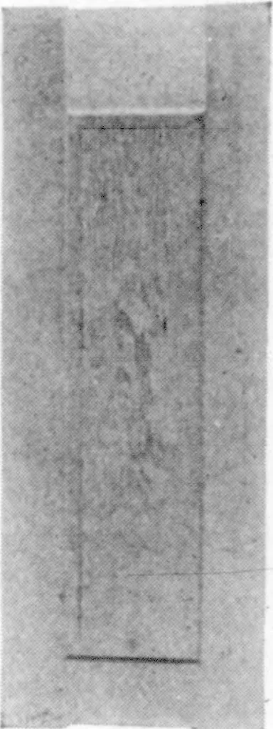 An illustration from The Architect, 1905, leaf 176