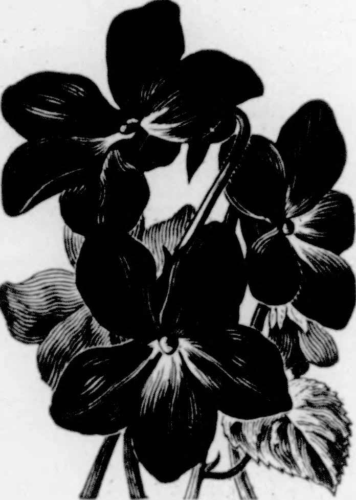 An illustration from The Architect, 1905, leaf 553