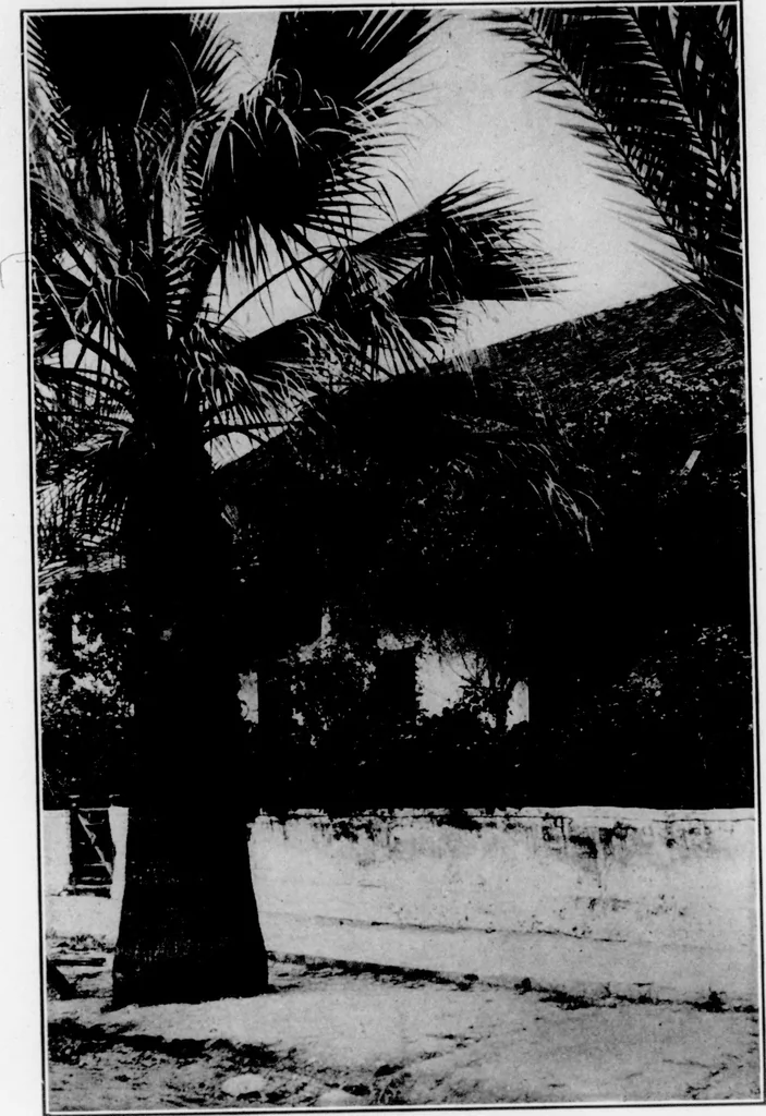 An illustration from The Architect, 1905, leaf 564