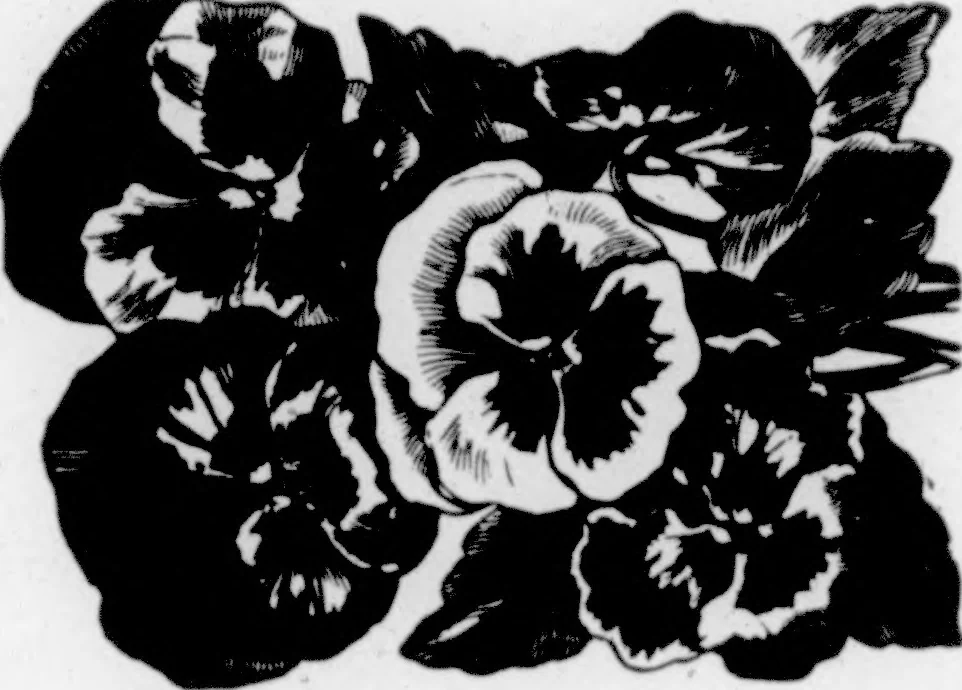 An illustration from The Architect, 1905, leaf 74