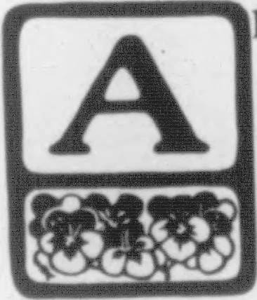 An illustration from The Architect, 1905, leaf 51