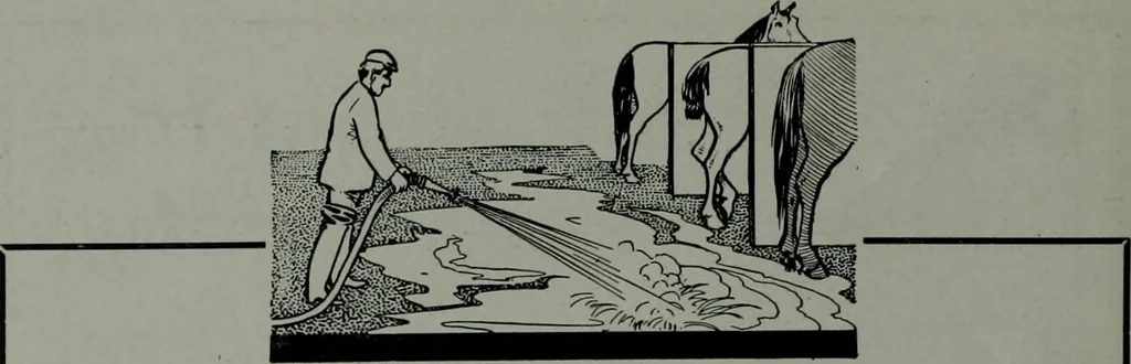An illustration from The Architect & engineer of California and the Pacific Coast, 1905, leaf 181