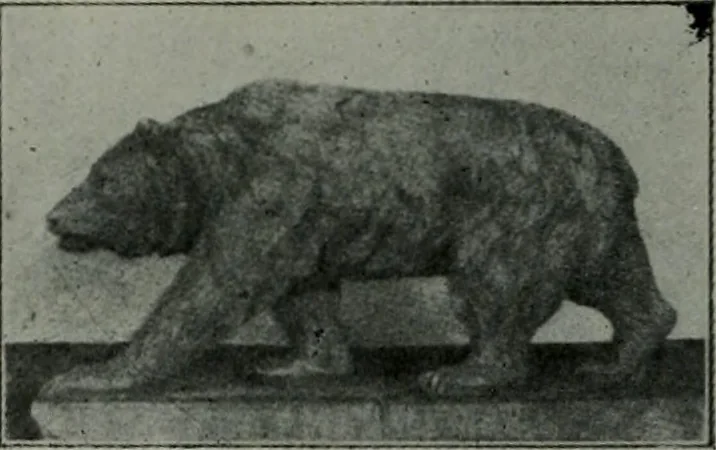 An illustration from The Architect & engineer of California and the Pacific Coast, 1905, leaf 31