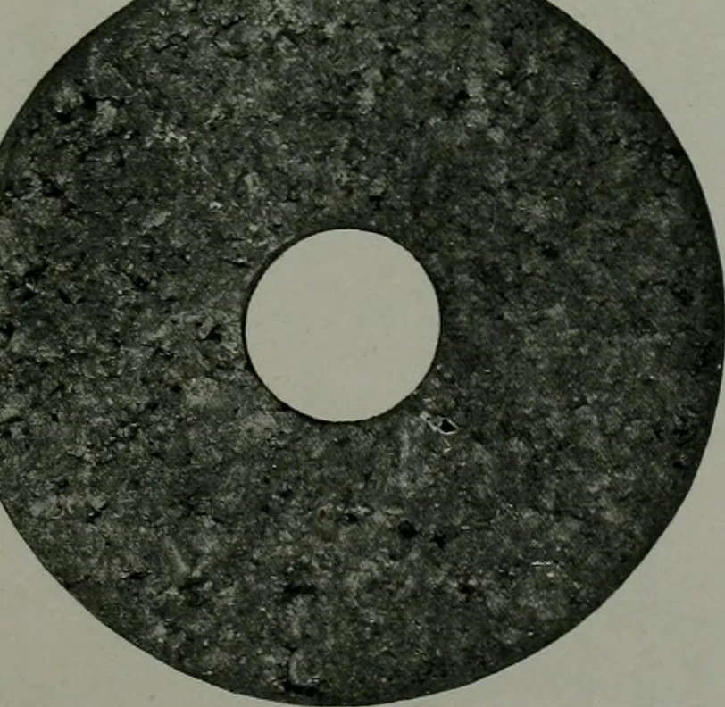 An illustration from The Architect & engineer of California and the Pacific Coast, 1905, leaf 338