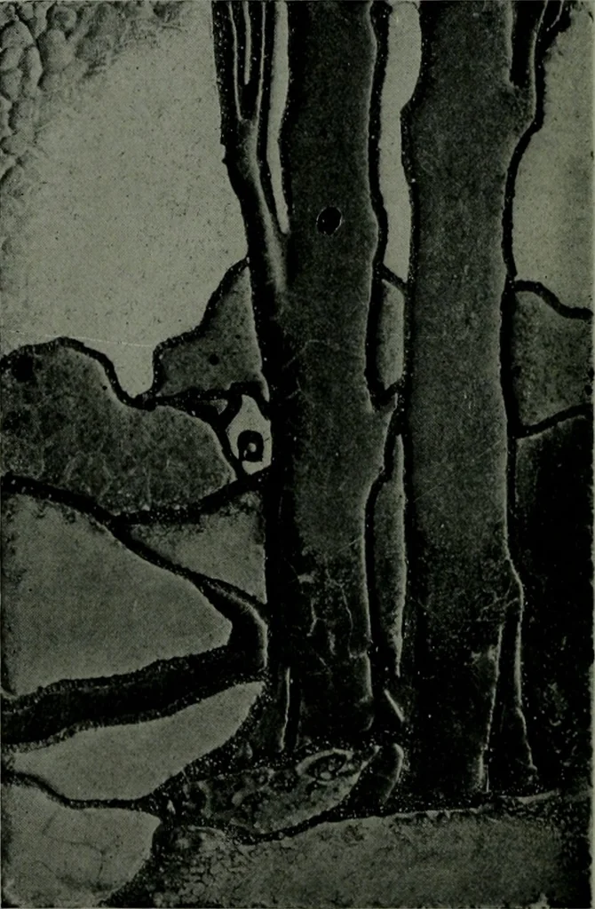 An illustration from The Architect & engineer of California and the Pacific Coast, 1905, leaf 81