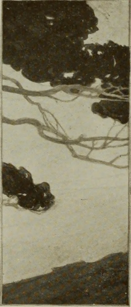 An illustration from The Architect & engineer of California and the Pacific Coast, 1905, leaf 281