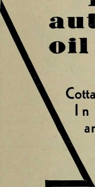 An illustration from Architect and engineer, 1905, leaf 244