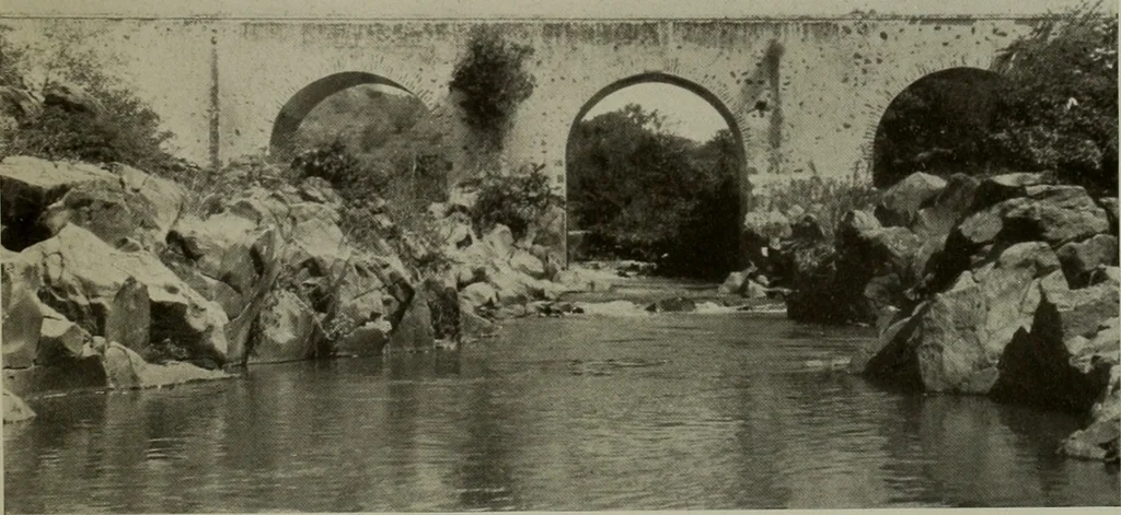 An illustration from Architect and engineer, 1905, leaf 534