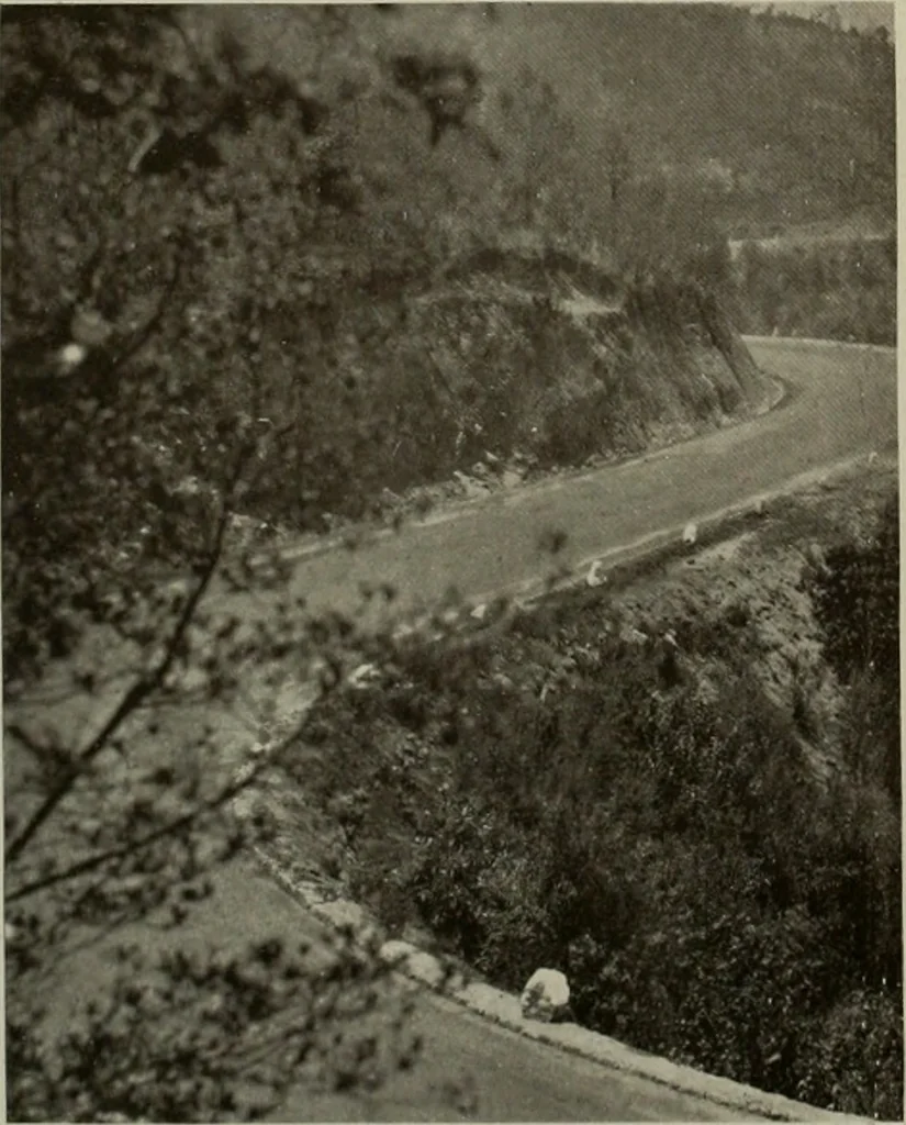 An illustration from Architect and engineer, 1905, leaf 535