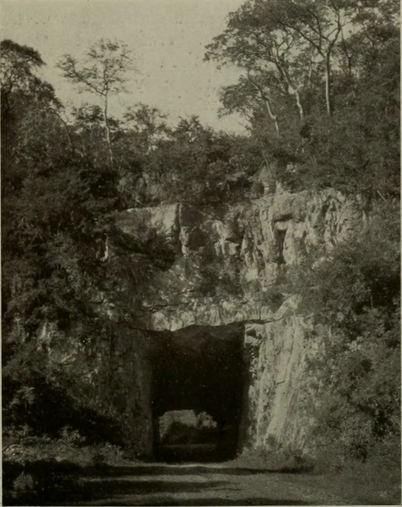 An illustration from Architect and engineer, 1905, leaf 536
