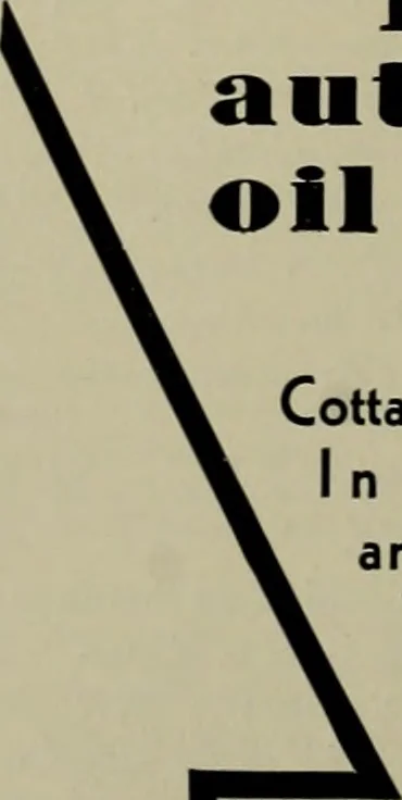 An illustration from Architect and engineer, 1905, leaf 585