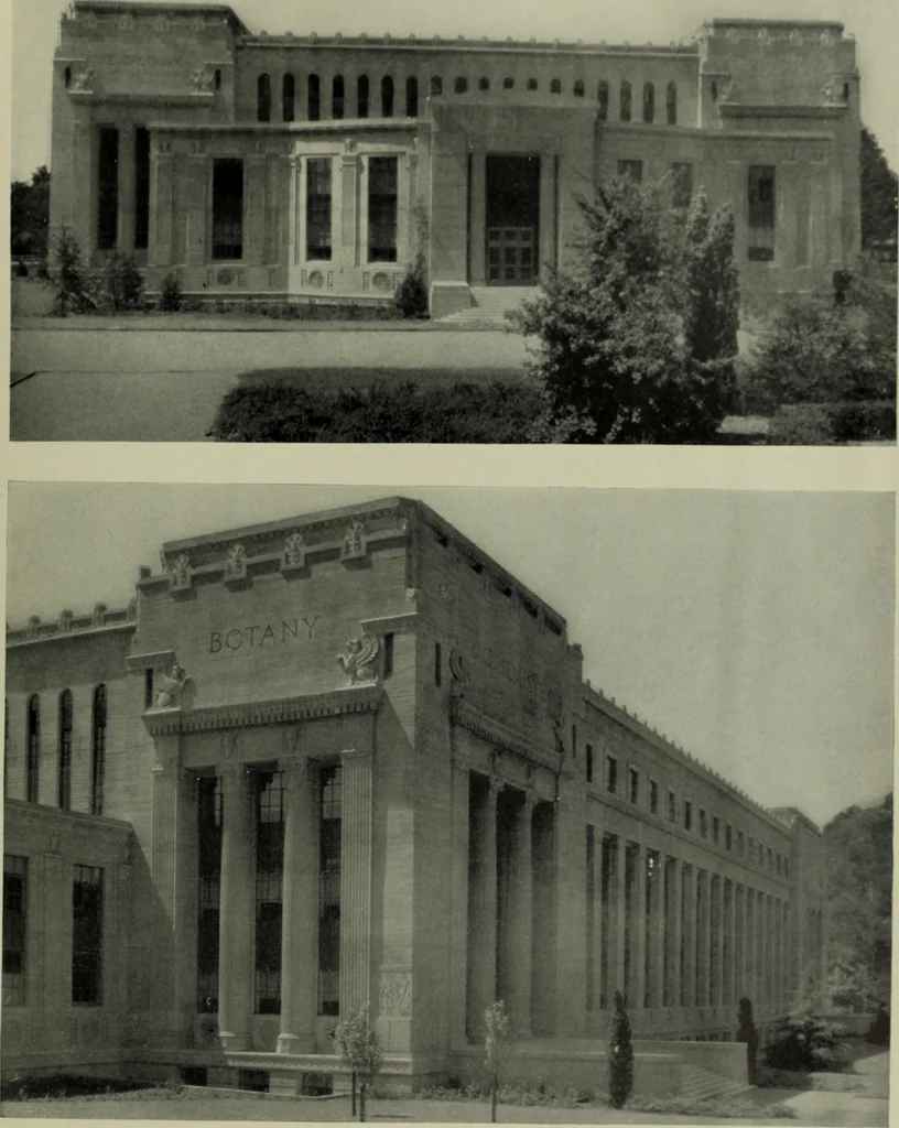 An illustration from Architect and engineer, 1905, leaf 14