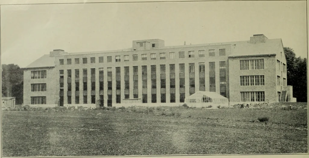 An illustration from Architect and engineer, 1905, leaf 555
