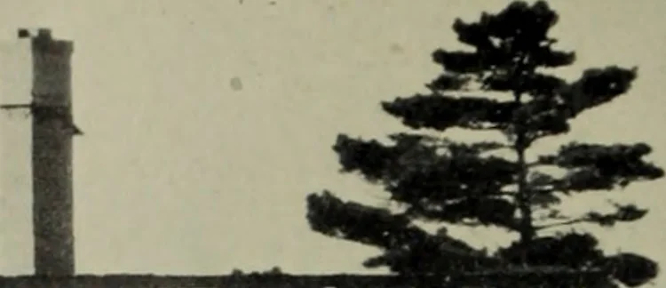 An illustration from Architect and engineer, 1905, leaf 611