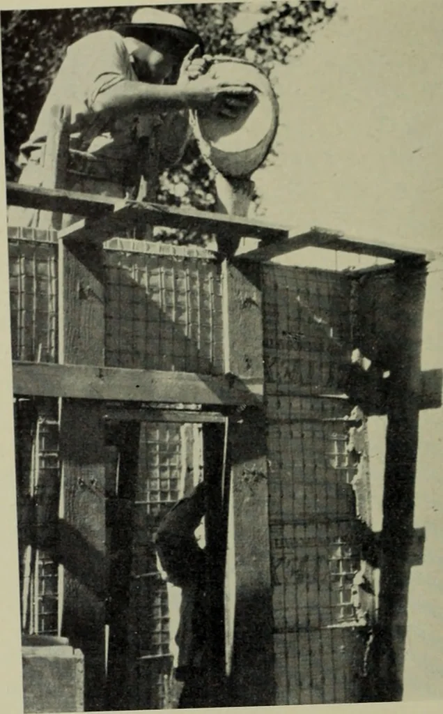 An illustration from Architect and engineer, 1905, leaf 615