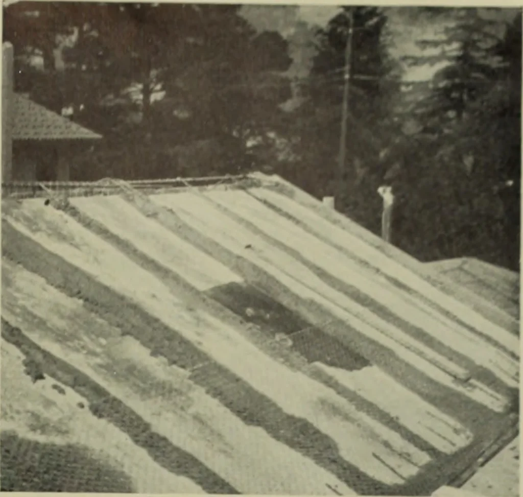 An illustration from Architect and engineer, 1905, leaf 618