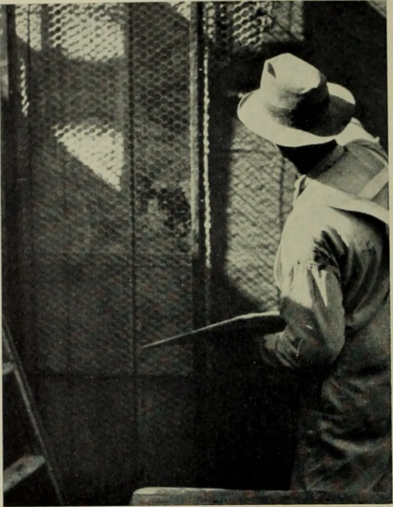 An illustration from Architect and engineer, 1905, leaf 621