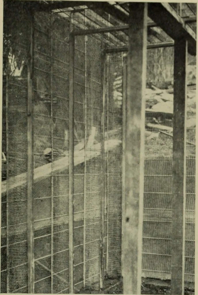 An illustration from Architect and engineer, 1905, leaf 622