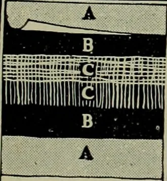 An illustration from Architect and engineer, 1905, leaf 638