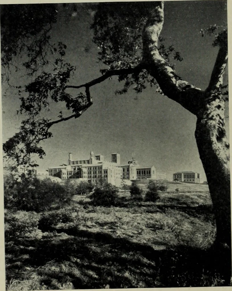 An illustration from Architect and engineer, 1905, leaf 71