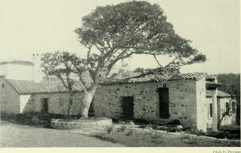 An illustration from Architect and engineer, 1905, leaf 141