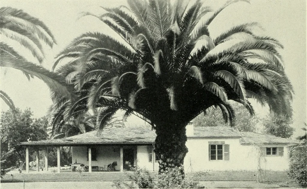 An illustration from Architect and engineer, 1905, leaf 143