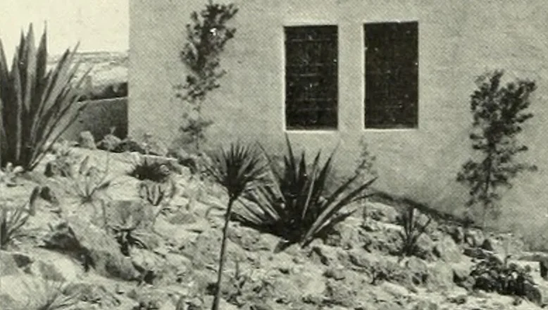 An illustration from Architect and engineer, 1905, leaf 277