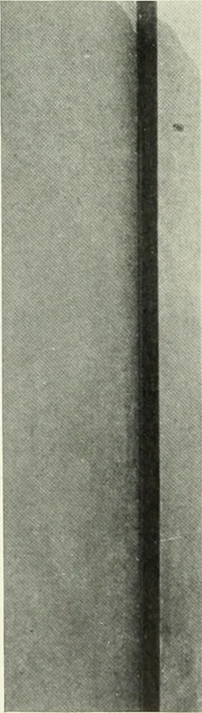 An illustration from Architect and engineer, 1905, leaf 299