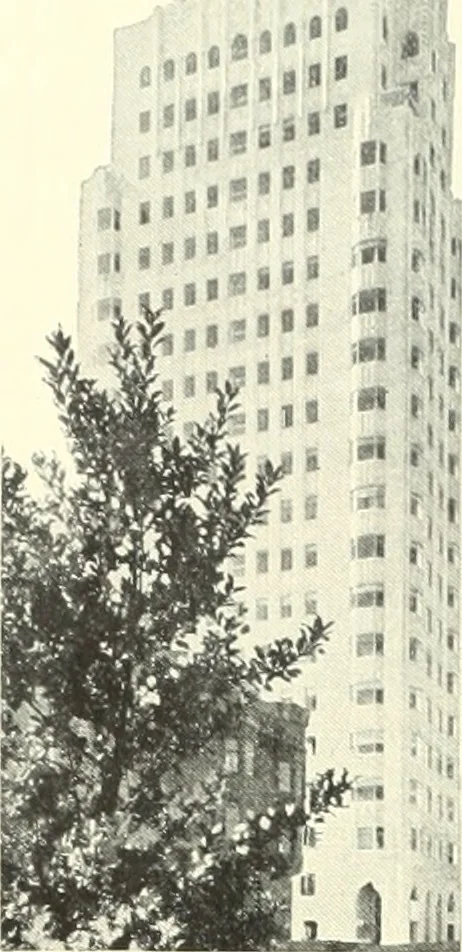 An illustration from Architect and engineer, 1905, leaf 348