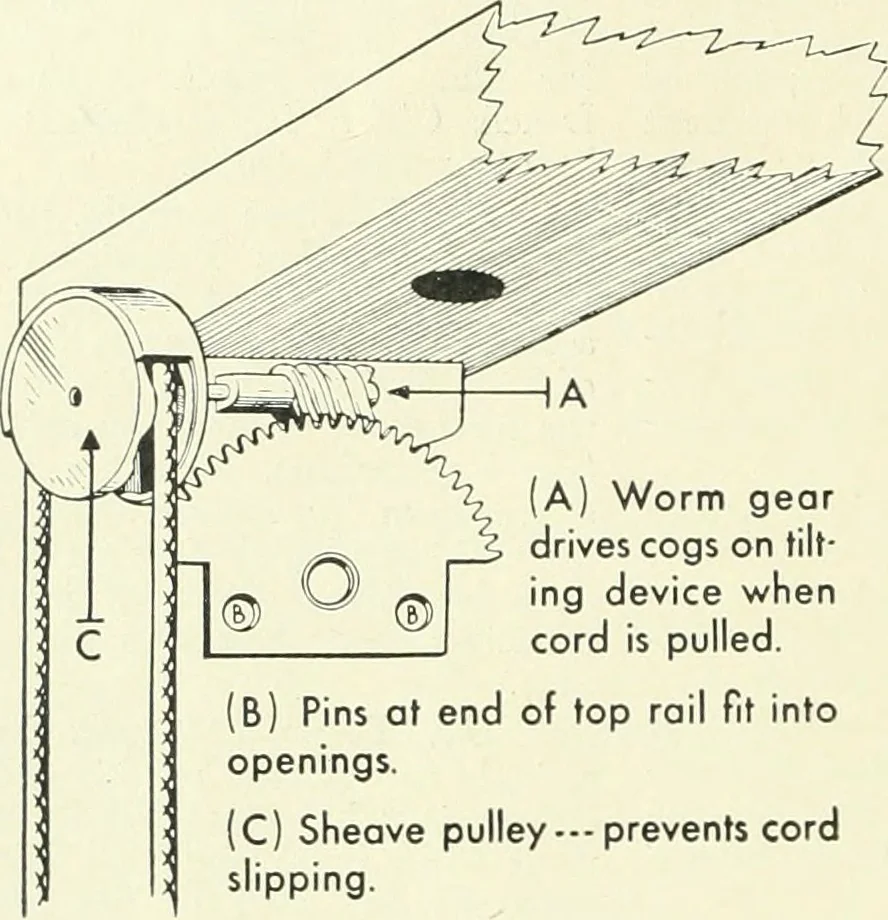 An illustration from Architect and engineer, 1905, leaf 363